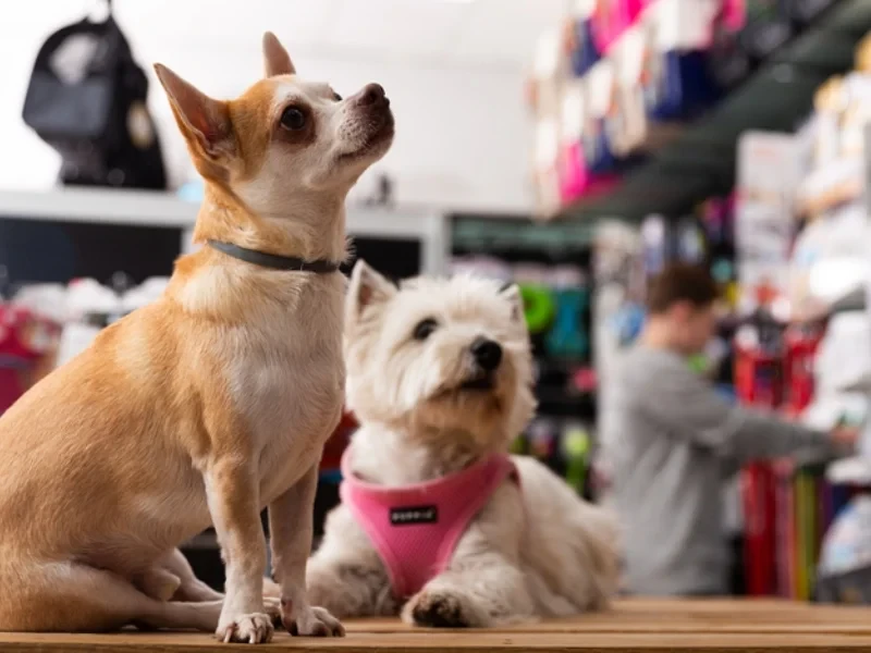 Pet Industry