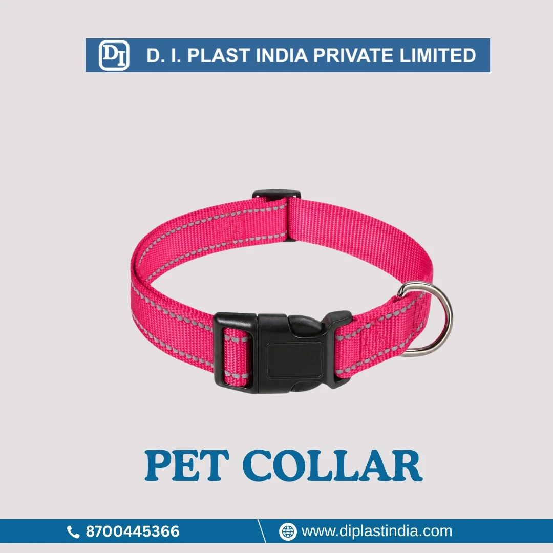 Pet Collar